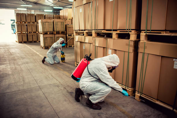 Best Termite Control Services  in Sunset, UT