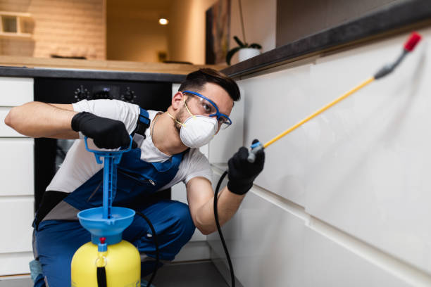 Best Best Pest Control Companies  in Sunset, UT