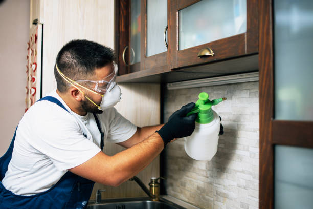 Best Wasp Removal Services  in Sunset, UT