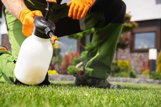 Best Mosquito Control Services  in Sunset, UT
