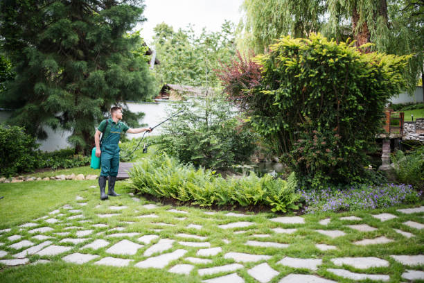 Best Affordable Pest Control Services  in Sunset, UT