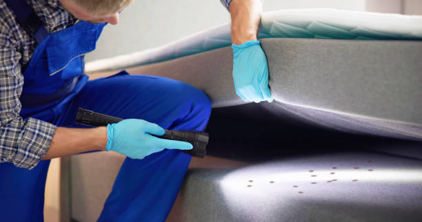 Best Ant Control Services  in Sunset, UT