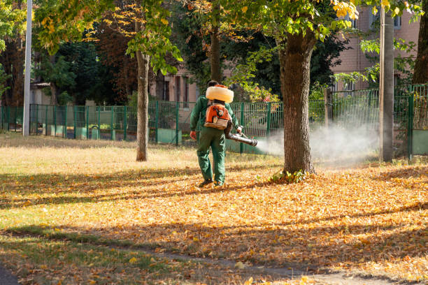 Best Best Pest Control Companies  in Sunset, UT