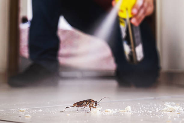 Best Cockroach Control Services  in Sunset, UT