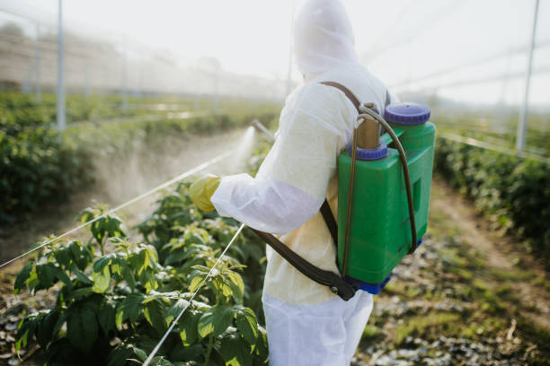 Best Local Pest Control Services  in Sunset, UT